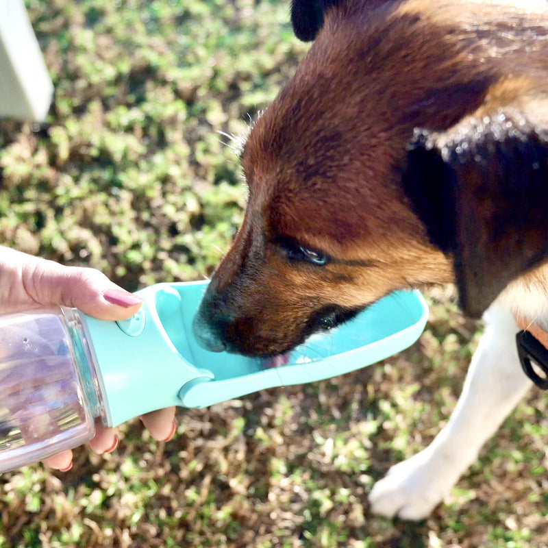 NEW PET SOLUTIONS Foldable, Portable Dog Water Bottle for walks, hikes & travel | PAWeSOME, Compact, Easy-to-Carry Pet Water Dispenser with Foldable Drinking Bowl and NEW 2022 Design for small, medium & large dogs on the go | 12oz & 19oz sizes 12oz blue - PawsPlanet Australia