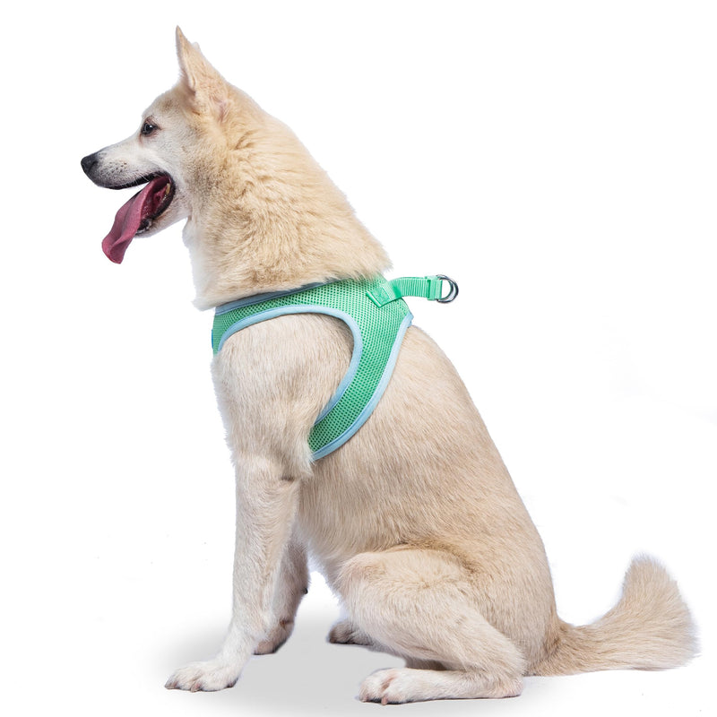 The Dodo Green Dog Harness, Size Medium; Easy Step-in Harness for Dogs; Breathable Mesh Fabric; Snap-Together, Pinch Release Buckle, Ring for Leash Attachment; Everyday Pet Apparel - PawsPlanet Australia