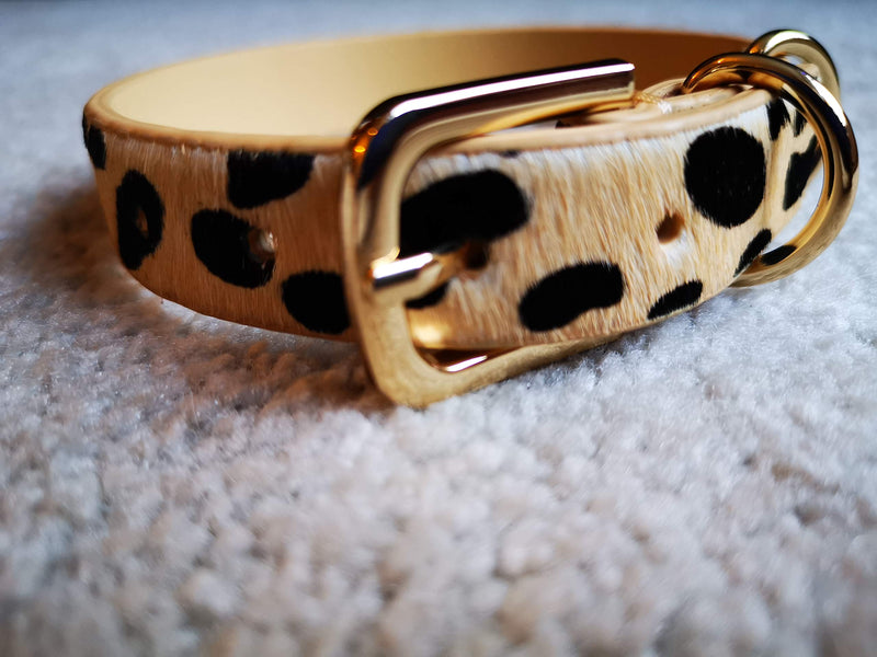 Luxury cream leather dog collar with black animal print (Medium 46cm) Medium 46cm - PawsPlanet Australia