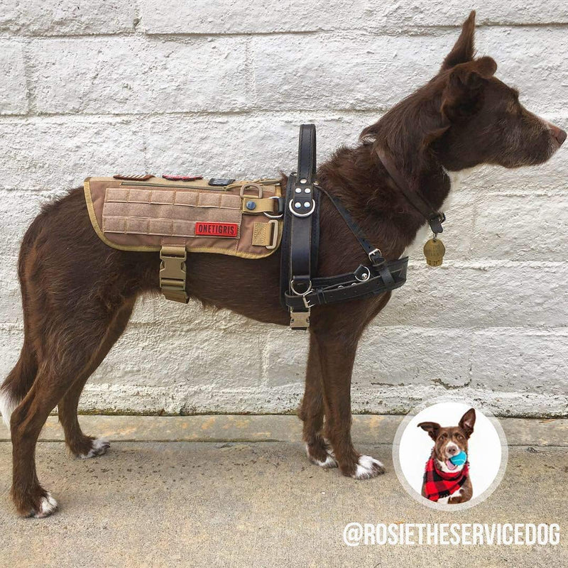 OneTigris Tactical Service Dog Harness Nylon Vest for Training Walking M/L Size(Coyote Brown,Medium) Medium Coyote Brown - PawsPlanet Australia