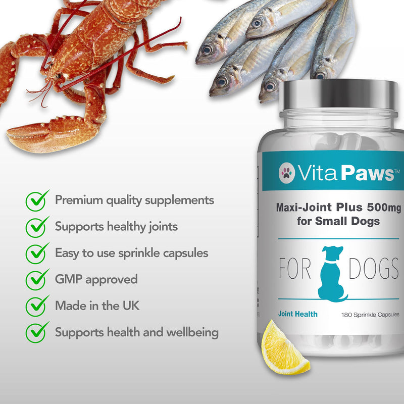 Glucosamine for Dogs | Maxi-Joint Plus for Small Dogs | Manufactured in The UK - PawsPlanet Australia