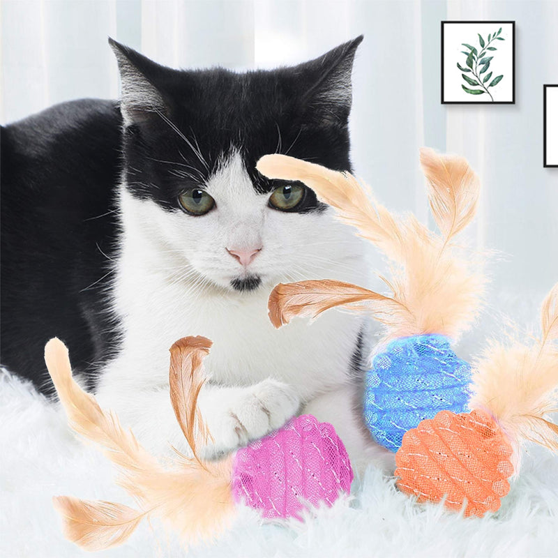 Cat Interactive Toys Cat Mesh Balls with Teasing Feather Toys Cat Throw Toy Cat Teeth Grinding Chew Toy Bright Funny Entertaining Toys for Cat Kitten Indoor and Out Door Play - PawsPlanet Australia