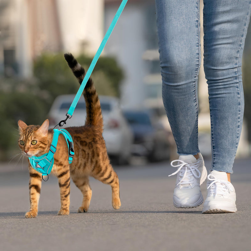 Cat Harnesses with Leash Adjustable Harness for Cats Breathable Escape Proof Chest Harness for Kittens, Dogs Puppies Train Walking (M) M - PawsPlanet Australia