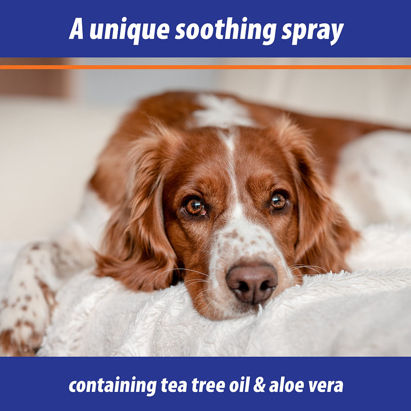 Exmarid | Skin Soother Spray for Dogs, with Tea Tree Oil & Aloe Vera | Helps Prevent Scratching and Promotes Healthy Skin (75 ml) - PawsPlanet Australia