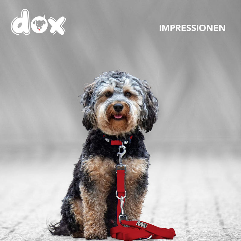 DDOXX dog leash nylon, 3-way adjustable, 2m | for small & large dogs | Double Leash Two Dog Cat Puppy | Towing leash large | Lead leash small | Running leash puppy leash | S, Red S - 1.5 x 200 cm - PawsPlanet Australia