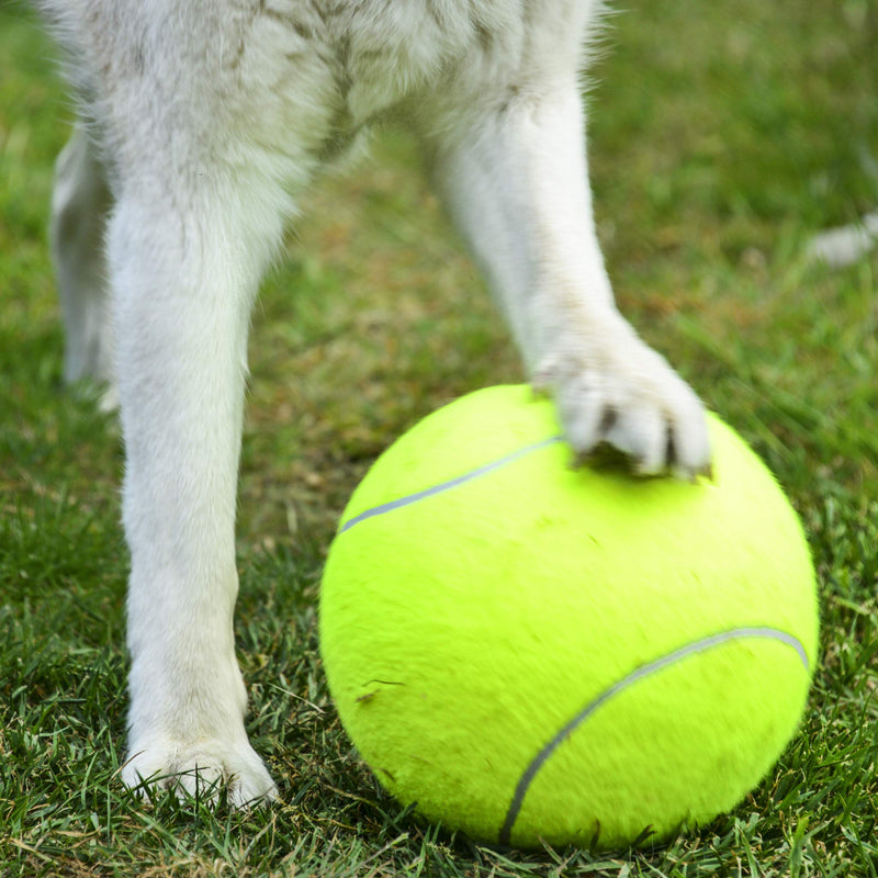 PROtastic Extra large tennis ball - with free ball pump - Great fun for you and your dog - PawsPlanet Australia
