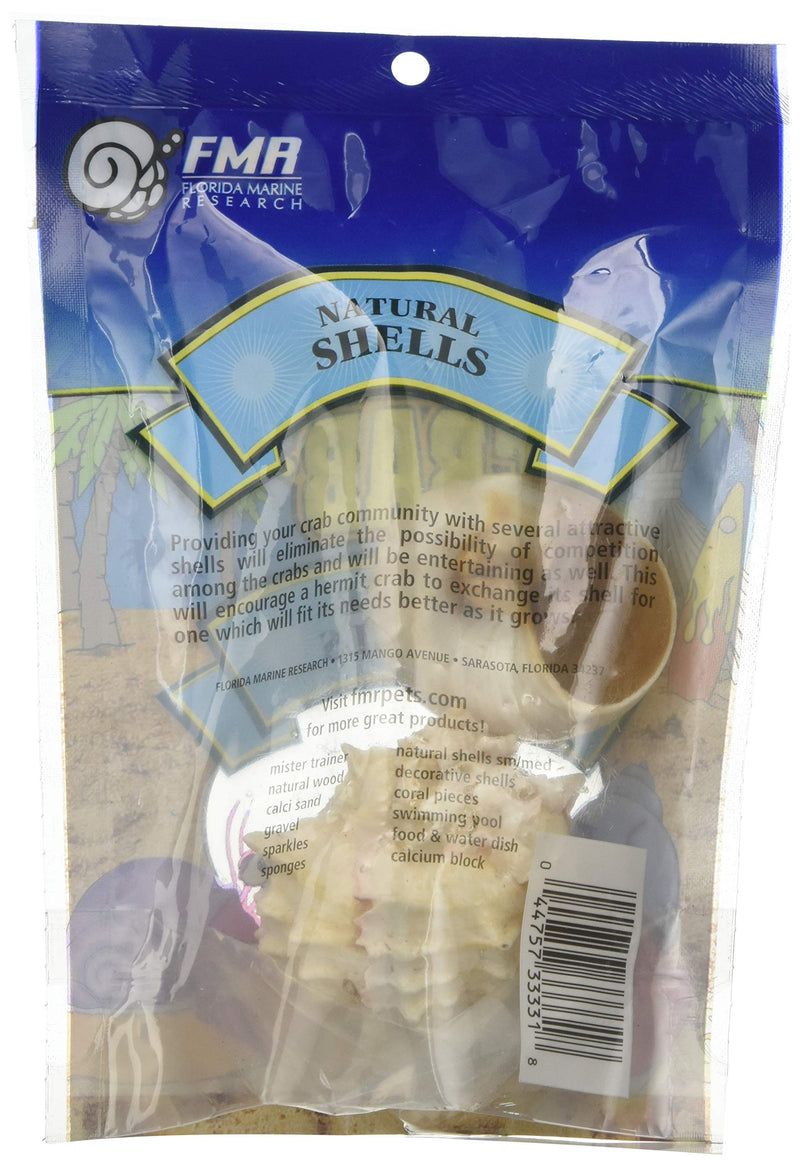 [Australia] - Florida Marine Research SFM33331 2-Pack Hermit Crab Shell, Large 