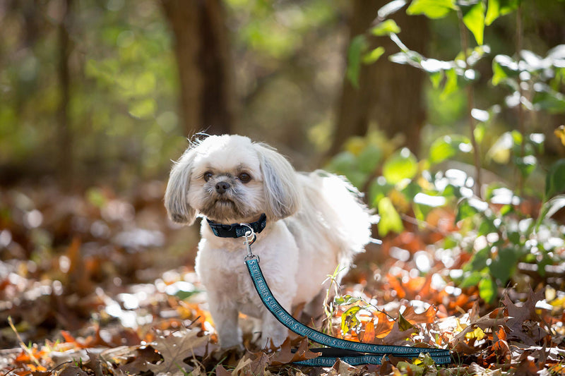 [Australia] - MLB Strong & Durable Premium Dog Leash Large Seattle Mariners 