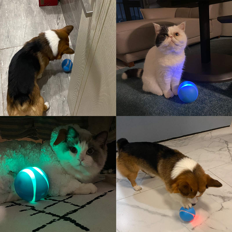 Interactive Dog/Cat Toy Ball, Smart Rechargeable Automatic Moving/Rolling & Rotating Dogs/Cats Toys, LED Light Up Wicked Ball, Remote Control Pet Balls for Large&Small Dogs, Puppy and Cats Orange - PawsPlanet Australia