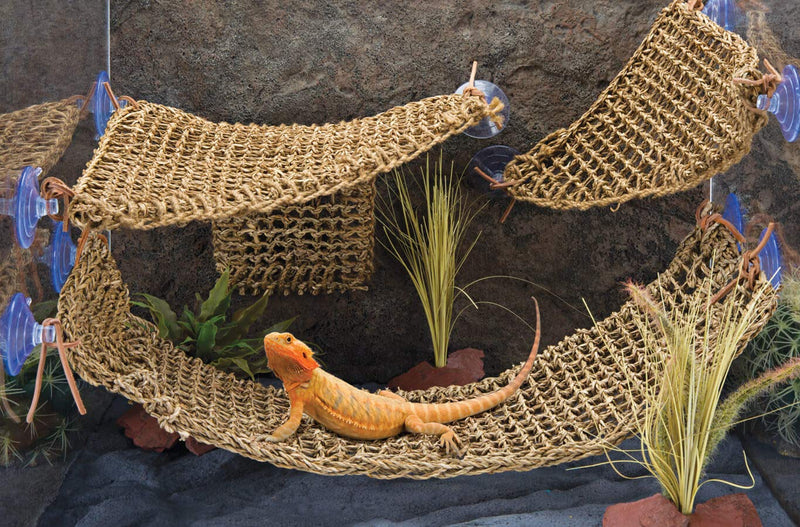 [Australia] - Penn Plax Lizard Lounger, 100% Natural Seagrass Fibers For Anoles, Bearded Dragons, Geckos, Iguanas, and Hermit Crabs Triangular 10 x 12 Inches 