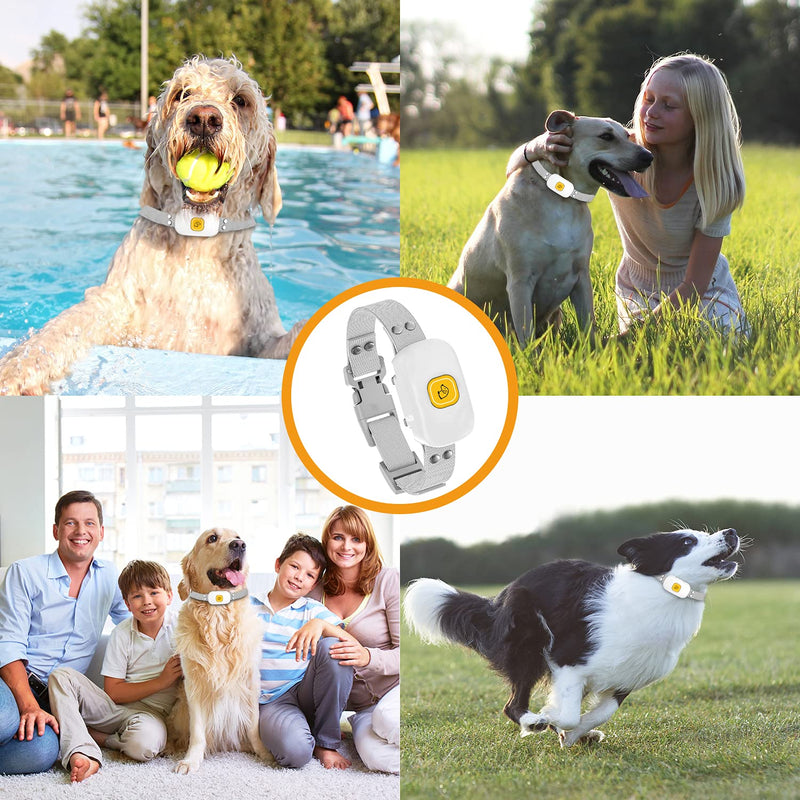 Bark Collar for Dogs,Rechargeable Anti Barking Collar，Intelligent Detection by Throat Vibration with 8 Adjustable Sensitivity and Intensity Vibration for Medium Large Dogs White - PawsPlanet Australia