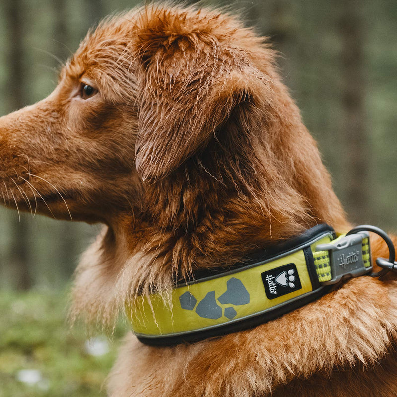 Hurtta Weekend Warrior Dog Collar , Neon Lemon, 18-22 in - PawsPlanet Australia