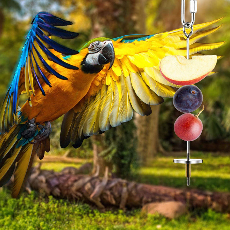 [Australia] - 3 Pieces Stainless Steel Bird Parrot Skewer Stainless Steel Bird Food Holder Small Animal Fruit Vegetable Holder Foraging Hanging Food Feeding Tool for Parrots Cockatoo Cockatiel Cage (20, 16, 12 cm) 