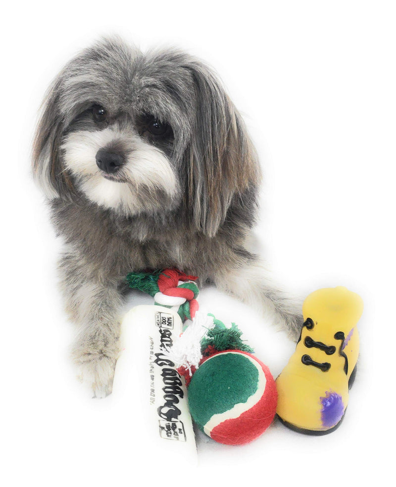 [Australia] - Christmas Stocking for Dogs. Pack of Squeaky newspaper toy, squeaky boot toy, a red, green and white tennis ball and a red, white and green cotton knotted rope. 