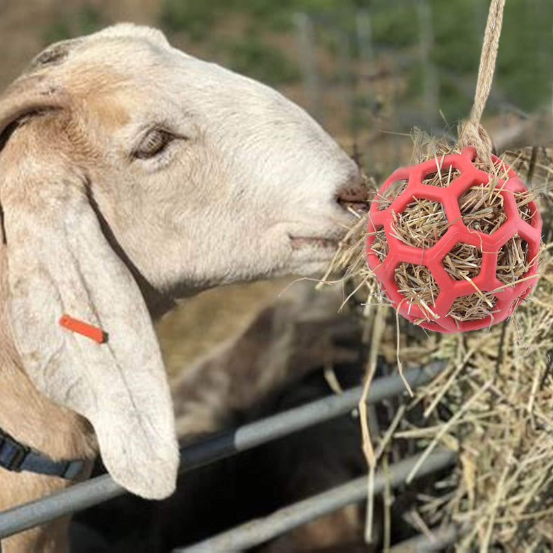 YUYUSO Goat Feeder Ball Toy Treat Hay Feeder Ball Hanging Feeding Toy for Goat Sheep headbutting Pen Rest - PawsPlanet Australia
