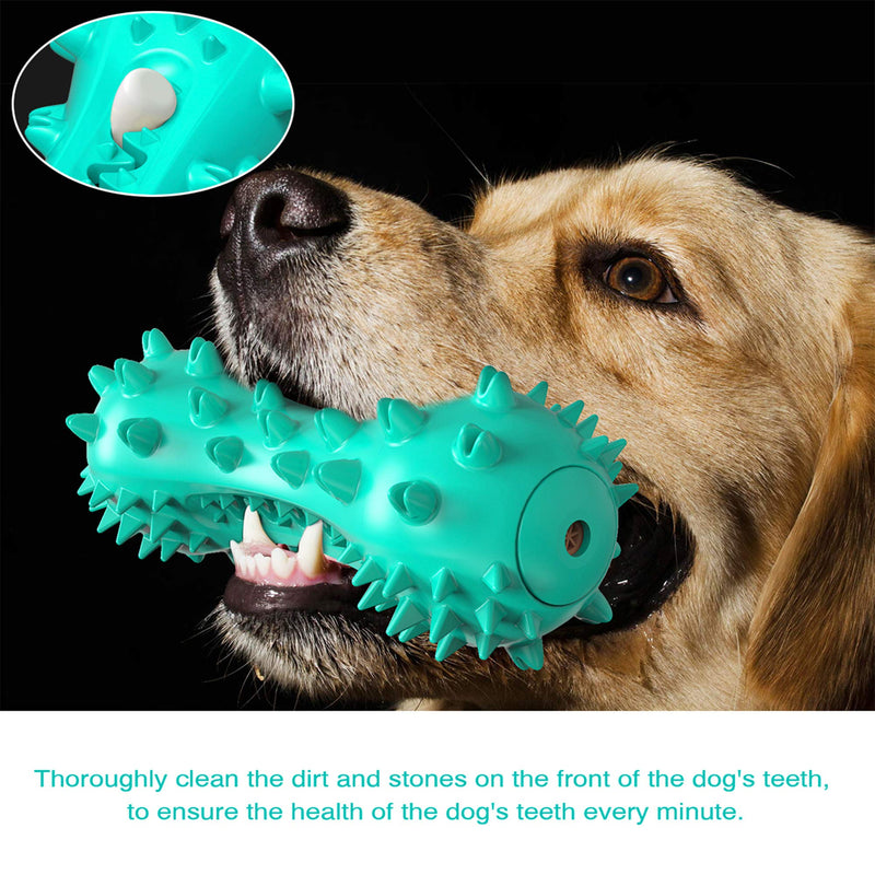 HANAMYA Bone-Shaped Toothbrush Dog Chew Toy, Squeaky | Water Floating, Turquoise Blue - PawsPlanet Australia