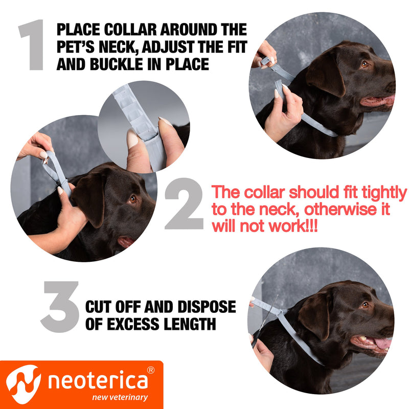 Rolf Club 3D Flea Collar for Dogs - Flea and Tick Control and Prevention for 6 Months - Safe Tick Repellent - Waterproof Tick Treatment (M) - PawsPlanet Australia