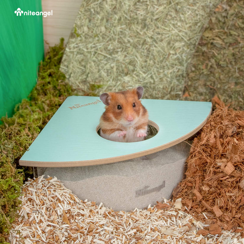 Niteangel Small Animal Sand-Bath Box - Acrylic Critter's Sand Bath Shower Room & Digging Sand Container for Hamsters Mice Lemming Gerbils or Other Small Pets Triangle Mint Green - PawsPlanet Australia
