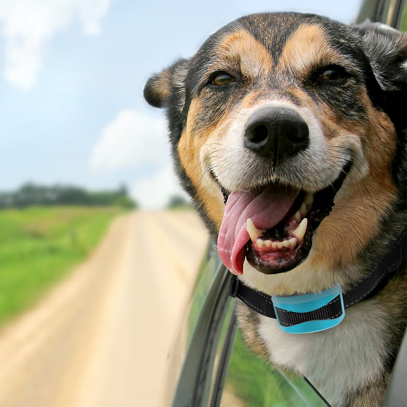 [Australia] - TIFTAF Bark Collar - Harmless and Humane - Anti Barking Control Device Train Your Pet. Safe for Large Medium and Small Dog Rechargeable Rainproof Lightweight Blue 