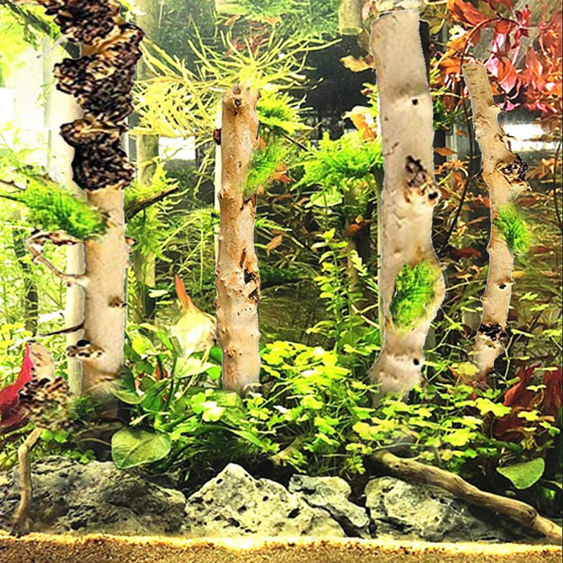 Hamiledyi Aquarium Driftwood,Driftwood Branches Trunk Assorted Size Aquarium Fish Tank Natural Forest Branches Habitat Decoration(4 Pcs) - PawsPlanet Australia