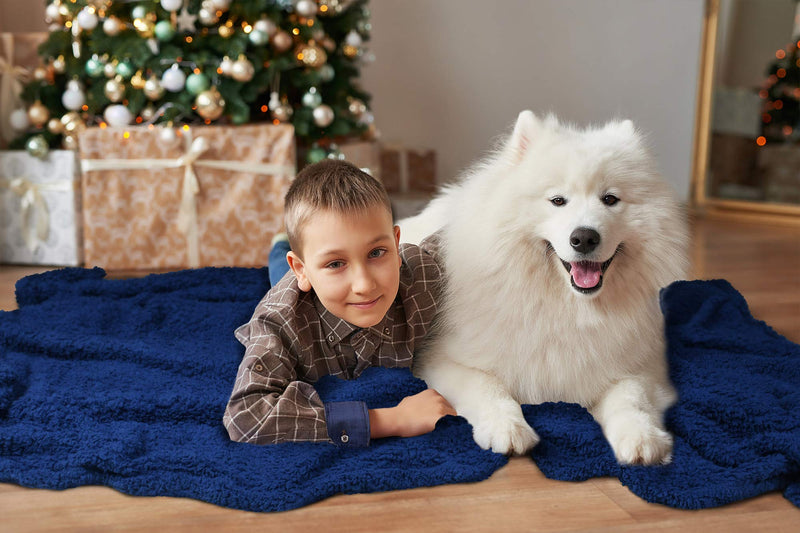 Pawsse Large Dog Sherpa Blanket 50" x 60", Super Soft Warm Plush Fleece Snuggle Pet Blanket Throw Cover for Couch Car Trunk Cage Kennel Dog Carrier #Blue - PawsPlanet Australia