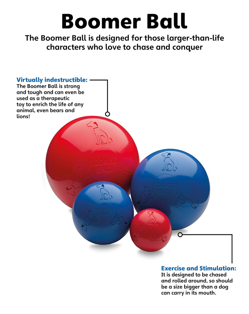 Boomer Ball, Medium, Assorted colors 6 Inch - PawsPlanet Australia