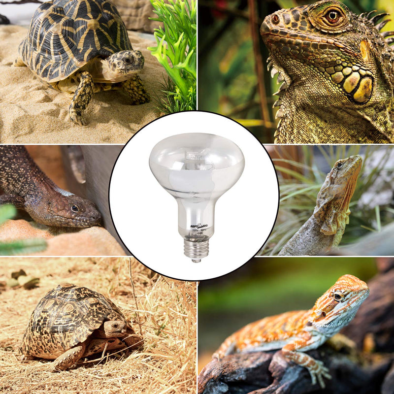 REPTI ZOO Reptile Heat Lamp Full Spectrum UVA UVB Reptile Sun Lamp Self-Ballasted Vapor Basking Spot Lamp/Bulb/Light for Reptile and Amphibian 100W - PawsPlanet Australia