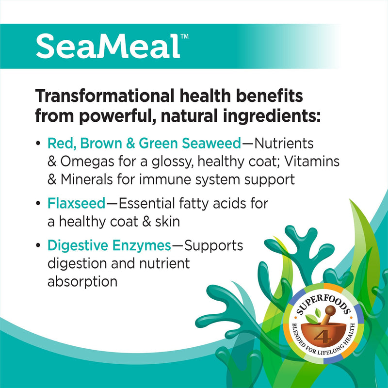 Solid Gold SeaMeal Kelp-Based Supplement for Skin & Coat, Digestive & Immune Health in Dogs & Cats; Natural, Holistic Grain-Free Supplement Powder 1 lb - PawsPlanet Australia