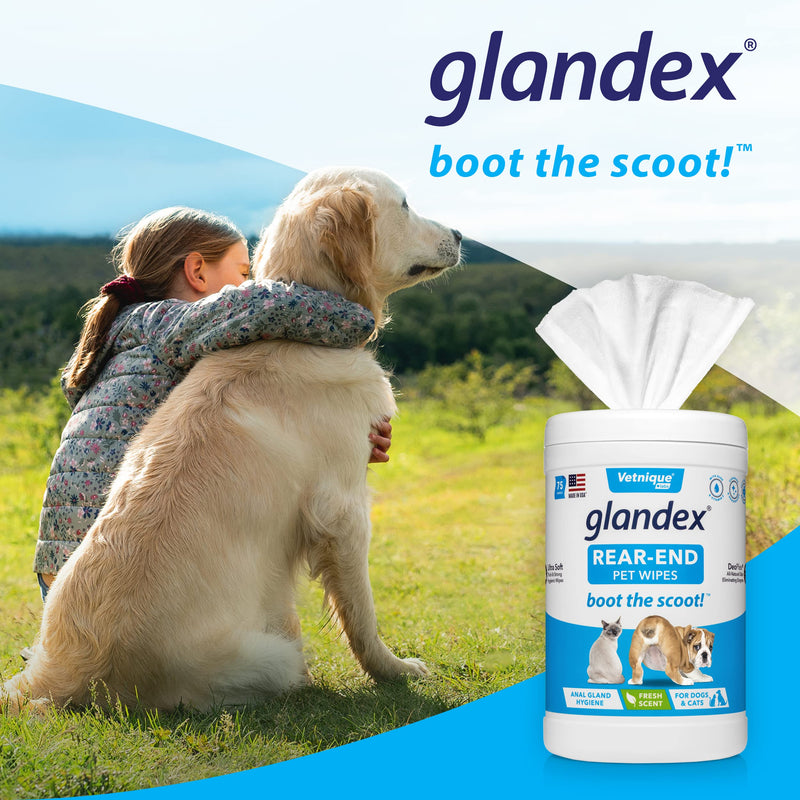 Glandex Dog Wipes for Pets Cleansing & Deodorizing Anal Gland Hygienic Wipes for Dogs & Cats with Vitamin E, Skin Conditioners and Aloe - by Vetnique Labs 24ct Pouch - PawsPlanet Australia