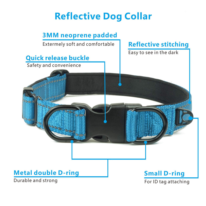 [Australia] - Garwor Reflective Dog Collar with Buckle Adjustable Safety Nylon Collars for Dogs Small Medium Large, Black Red Blue Green Orange Gray Purple Hotpink Tangerine Turquoise Peach Large Size:Width:1",Neck:16"-23.6" 