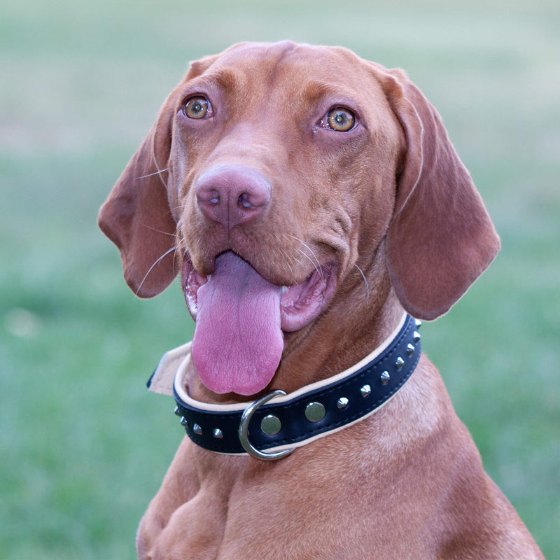 Corspet Full Grain Nappa Leather Dog Collar - Studded Leather Collar with Silver Nickel Plated Hardware | Super Soft Padded Double Sided | Extra Durable for Medium to X Large Dogs | Handmade in the EU Brown - PawsPlanet Australia