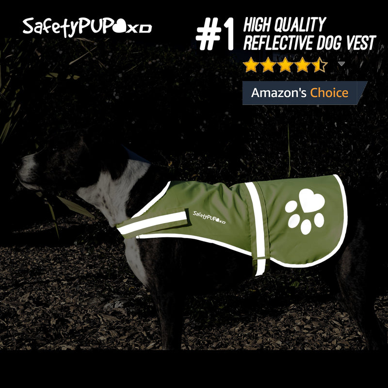 [Australia] - SafetyPUP XD - Protect Your Best Friend. Hi-Vis Fluorescent, Reflective Dog Vest Provides Crucial Visibility Helping You Safeguard Your Pet from Cars & Rural Accidents, On or Off Leash Large Neon Yellow 