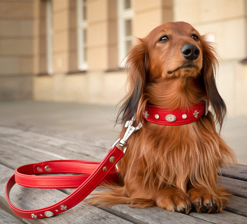 MICHUR Julieta dog collar leather, dog leather collar, collar, red, leather, with lilies, rhinestones and large crystal Neck circumference 14,17-16,14" - PawsPlanet Australia