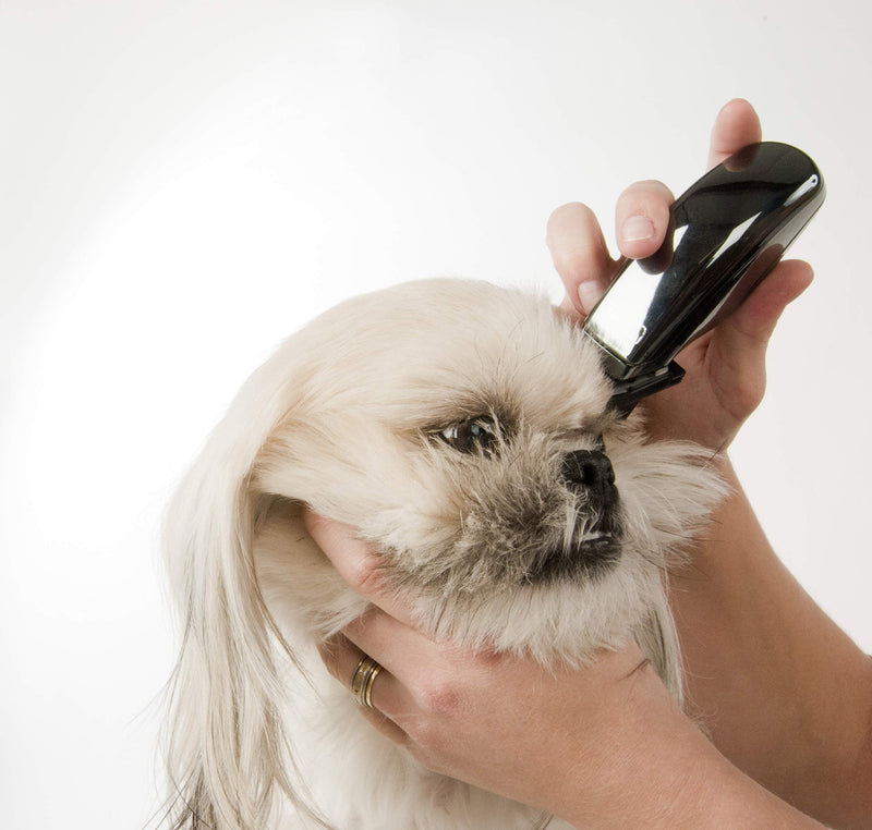 Wahl Professional Animal Super Pocket Pro Pet, Dog, & Cat Trimmer & Grooming Kit (#9961-2801), Black Chrome - PawsPlanet Australia