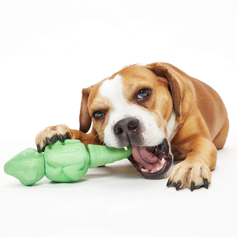 [Australia] - BarkBox Durable Rubber and Nylon Dog Chew Toy Ilana the Iguana Medium/Large Dog 
