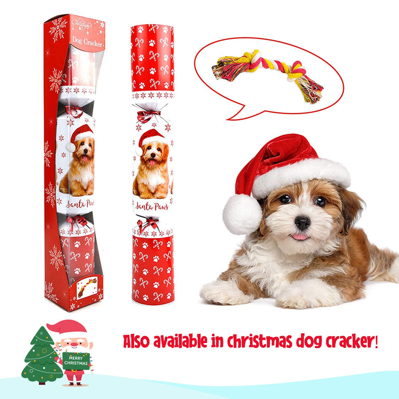 TANEL Christmas Cracker Kits for Pet Cats, 14 Inch (Snap Included) - PawsPlanet Australia