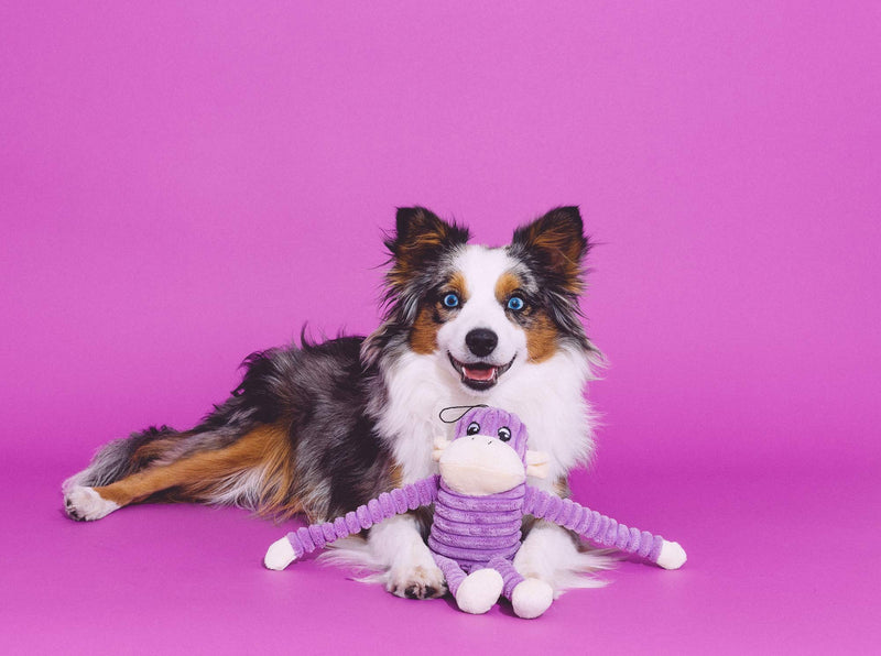 [Australia] - ZippyPaws - Spencer The Crinkle Monkey Dog Toy, Squeaker and Crinkle Plush Toy Small Purple 