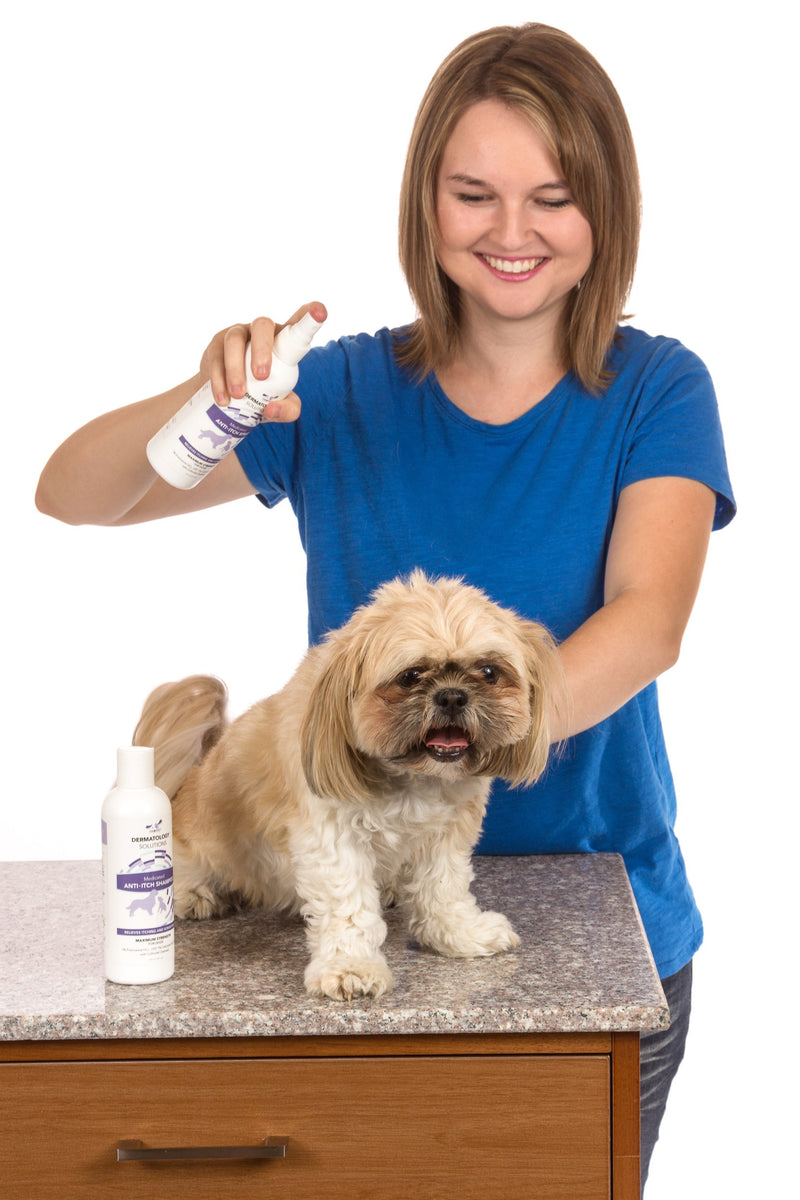Nootie Anti Itch Dog Spray with Pramoxine HCl 1% Lidocaine HCL 1% and Colloidal Oatmeal recommended By Vets for Anti-itch skin relief for Dogs - Instant Dog Skin Itch Relief - PawsPlanet Australia