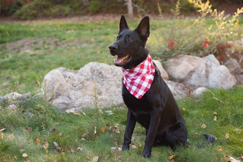 [Australia] - Willowear Dog Bandana Red and White Flannel Buffalo Plaid with Frayed Edge Medium Love 