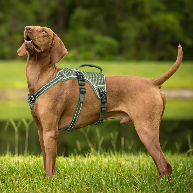 HEELE dog harness, escape-proof, buckle in the neck area, reflective, chest harness with robust handle, panic harness for dogs, dog harness with a stable impression, fits like a glove, green, L - PawsPlanet Australia