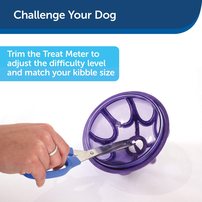 [Australia] - PetSafe Busy Buddy Kibble Nibble Meal Dispensing Dog Toy Small 