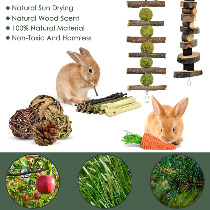 ERKOON Bunny Chew Toys, Small Animal Hamster Chew Toys, Natural Apple Wood Sticks Pet Chew Toy for Rabbits, Chinchillas, Guinea Pigs for Teeth - PawsPlanet Australia
