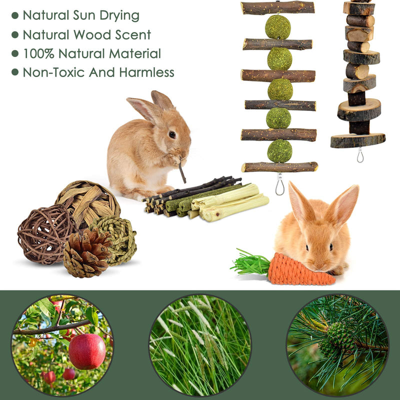 ERKOON Rabbit Accessories, 8 Types of Rabbit Chew Toys, Rabbits Employment Small Animals Natural Timothy Hay Sticks Apple Sticks Dental Care Treats Chinchilla Guinea Pigs Gerbils - PawsPlanet Australia