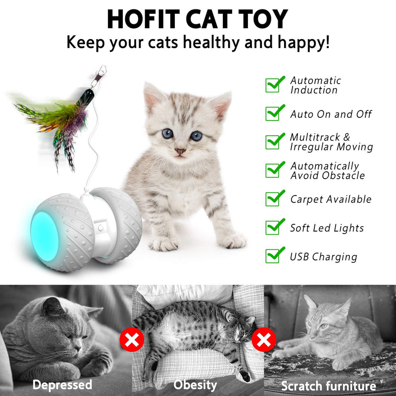 HOFIT Interactive Cat Toys For Indoor Cats, Irregularly Move Cat Ball Toys For Kitten/Cats, Robotic Cat Toy with Led Light/Feathers/Ribbon/Mouse Toys, Floors/Carpet Available, USB Charging - PawsPlanet Australia