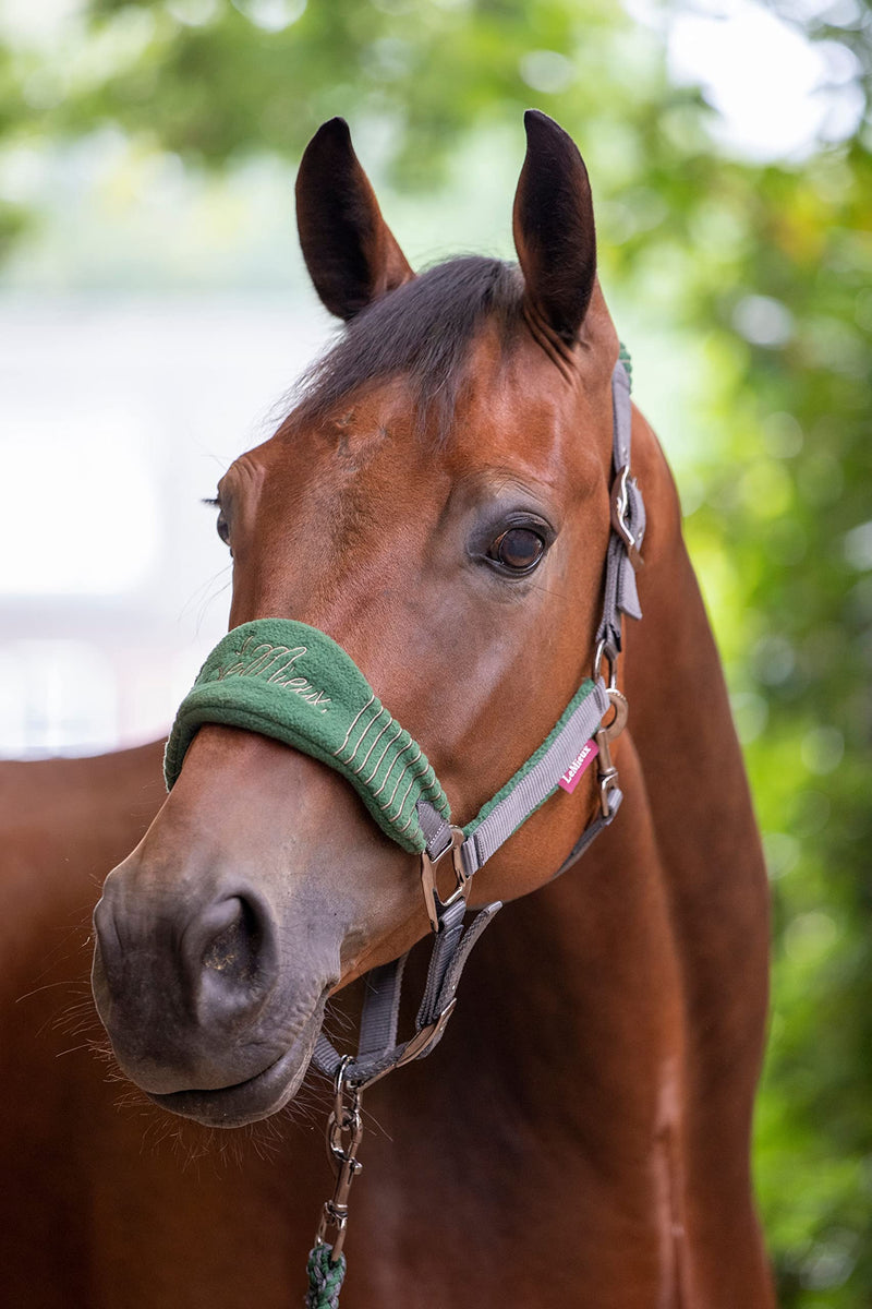 LeMieux Vogue Fleece Headcollar with Lead Rope - Extra Padding, Adjustable at Curb and Poll Strap Full Hunter Green - PawsPlanet Australia