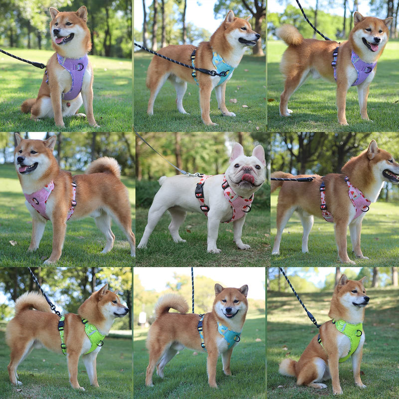 Lairle Dog Harness Fruit Pattern, Mesh Dog Harness, No Pull Dog Harness Adjustable Reflective Dog Vest Harness for Small Medium Large Dogs M Blue - PawsPlanet Australia