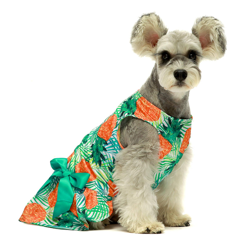 Fitwarm Lemon Summer Dog Dress Puppy Clothes Doggie Sundress Pet Vest Cat Apparel Water Blue XX-Small Green - PawsPlanet Australia