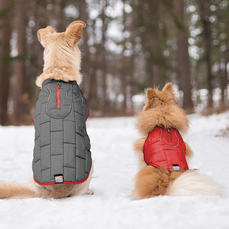 Kurgo Loft Dog Jacket and Reversible Dog Coat, Available in X-Small, Small, Medium, Large and X-Large Sizes S Chili Red/Charcoal - PawsPlanet Australia