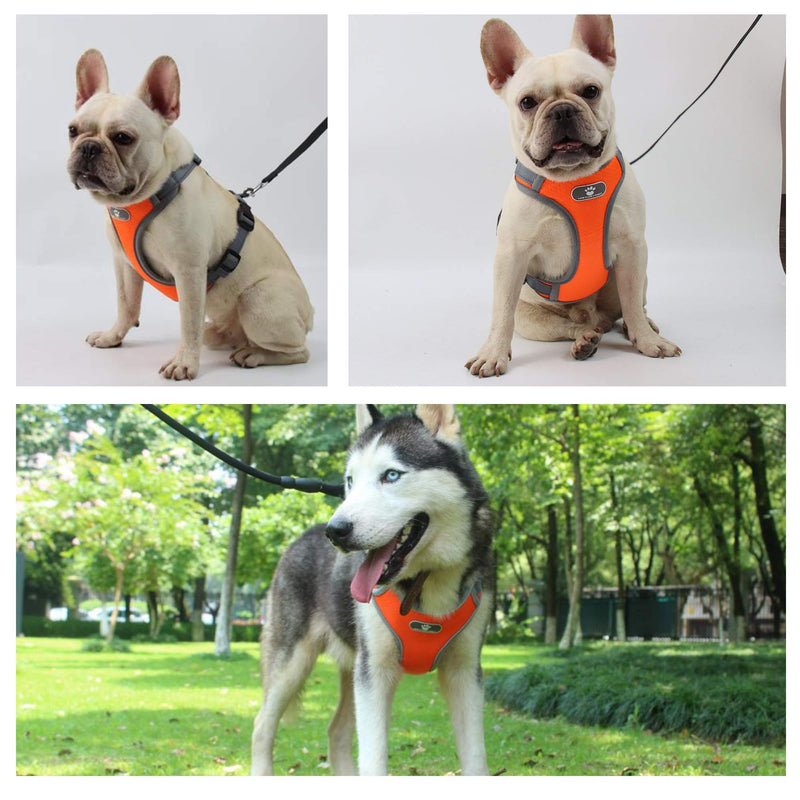 Dog Harness No Pull No Choke Adjustable Reflective Design with 4 Straps and 2 Buckles All Weather Breathable Mesh Dog Harness for Small Dogs (Small, Dark Blue) - PawsPlanet Australia