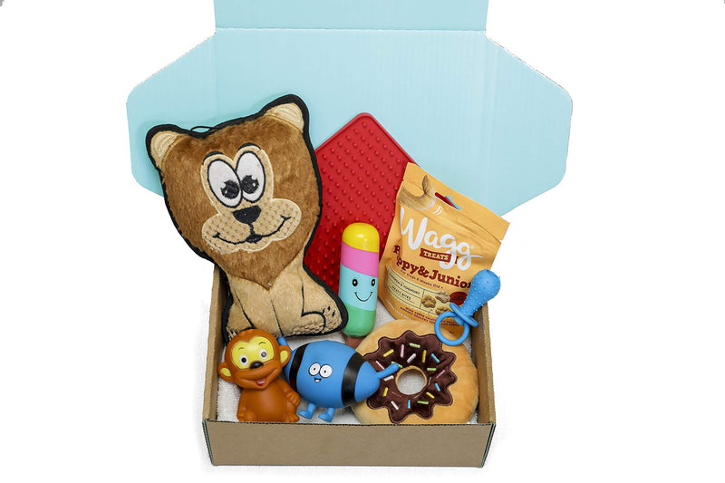 Dog Gift Box Hamper | Dog Hamper | Dog Treats | Dog Toys | Dog Birthday Present Box | Dog Box | Get well soon | Gotcha Day | Dog Gift | Blue Box | puppy Gift Set - PawsPlanet Australia